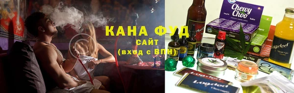 индика Михайловск