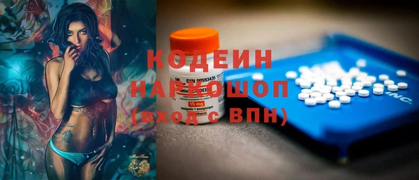 индика Михайловск