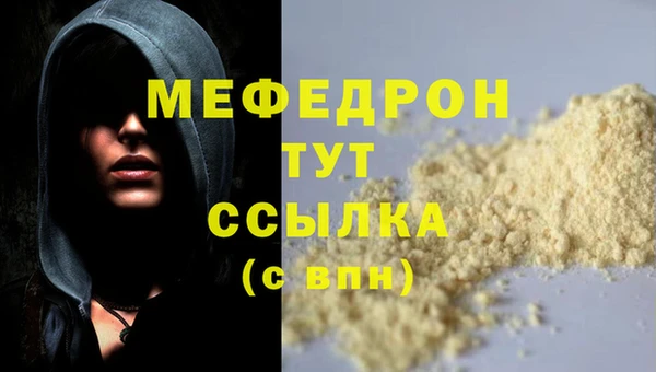 индика Михайловск