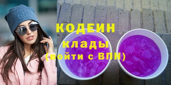 индика Михайловск