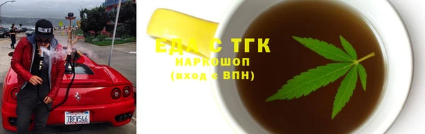 индика Михайловск
