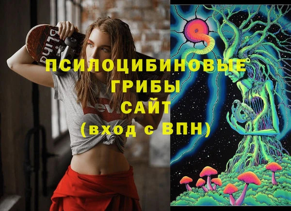 трава Бронницы