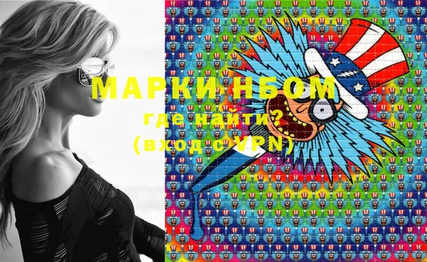 индика Михайловск