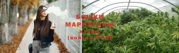 индика Михайловск
