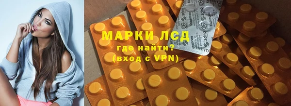 индика Михайловск