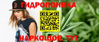 герыч Будённовск