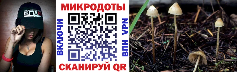 продажа наркотиков omg вход Галлюциногенные грибы прущие грибы Коммунар