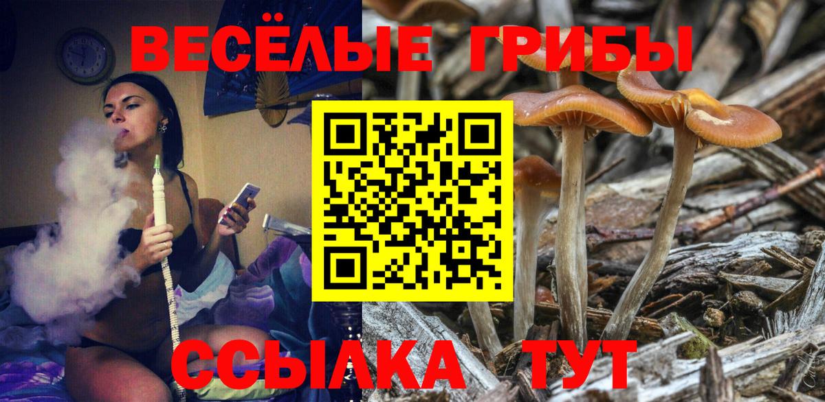 Меф   Канабис  ЭКСТАЗИ  Коммунар  Вход с VPN  Cocaine  ГАШИШ 