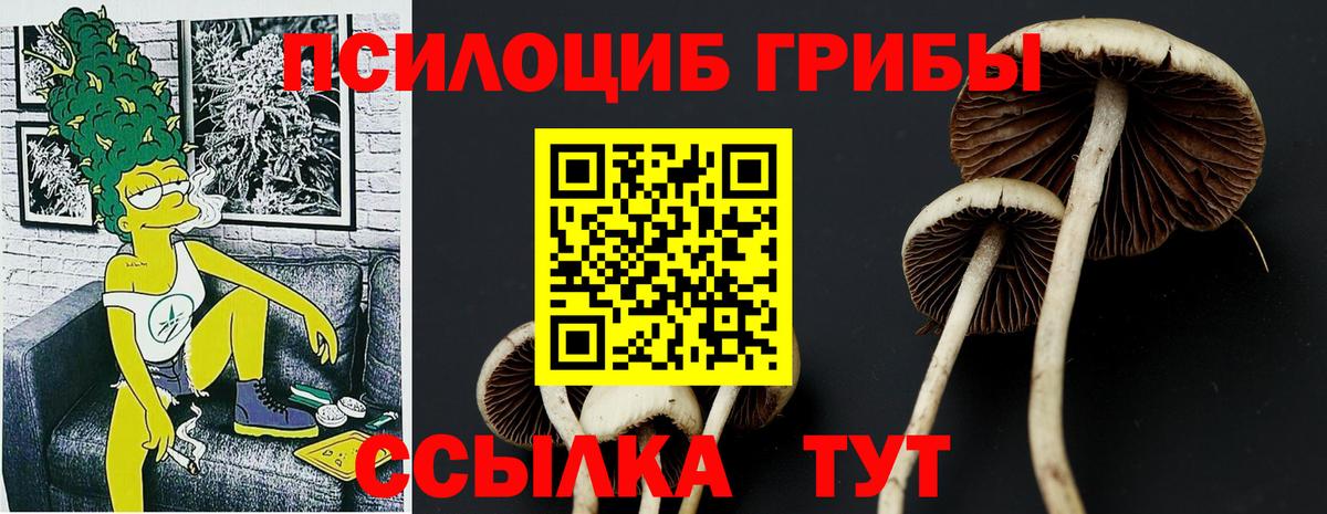 Псилоцибиновые грибы Psilocybine cubensis  Коммунар 