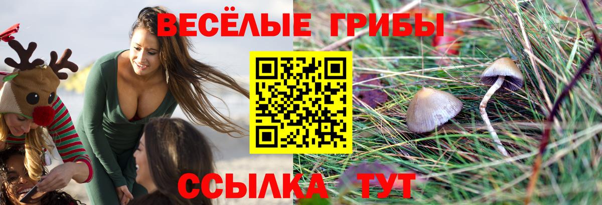 Коммунар  купить наркотики сайты  Вход с VPN  Псилоцибиновые грибы мицелий 