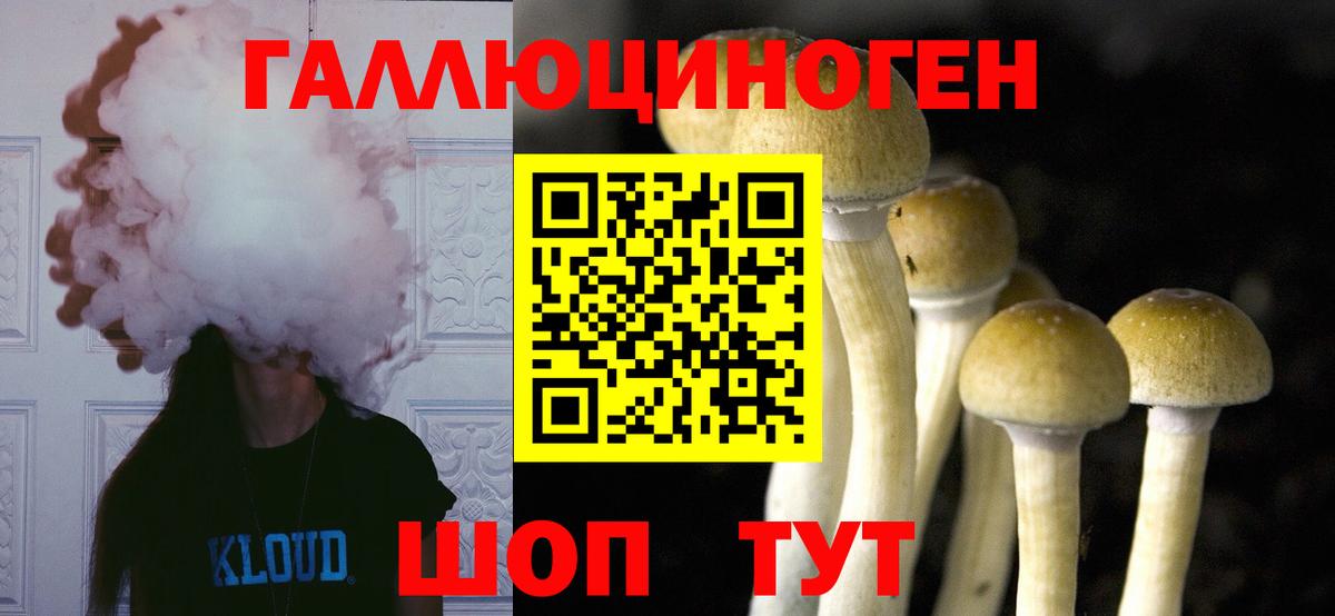 Псилоцибиновые грибы мухоморы Коммунар